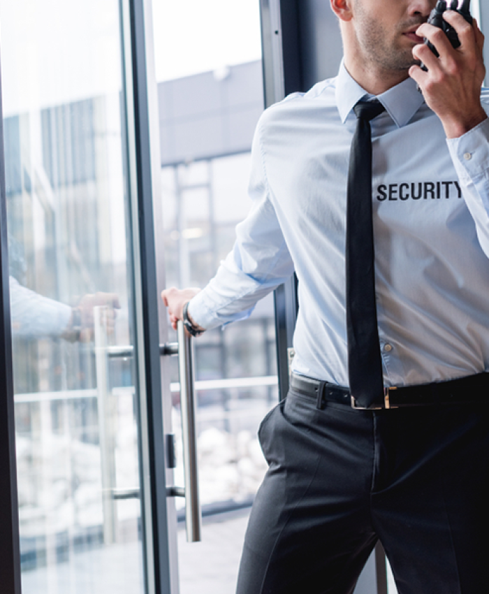CORPORATE-SECURITY1235